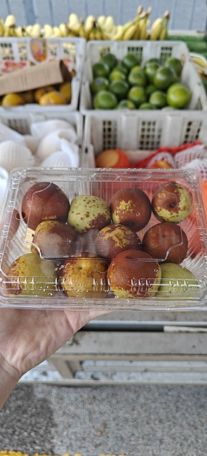 一盒冬枣