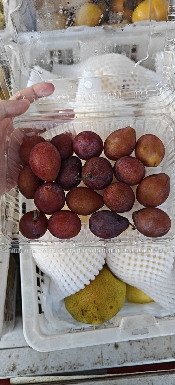 一盒新疆西梅