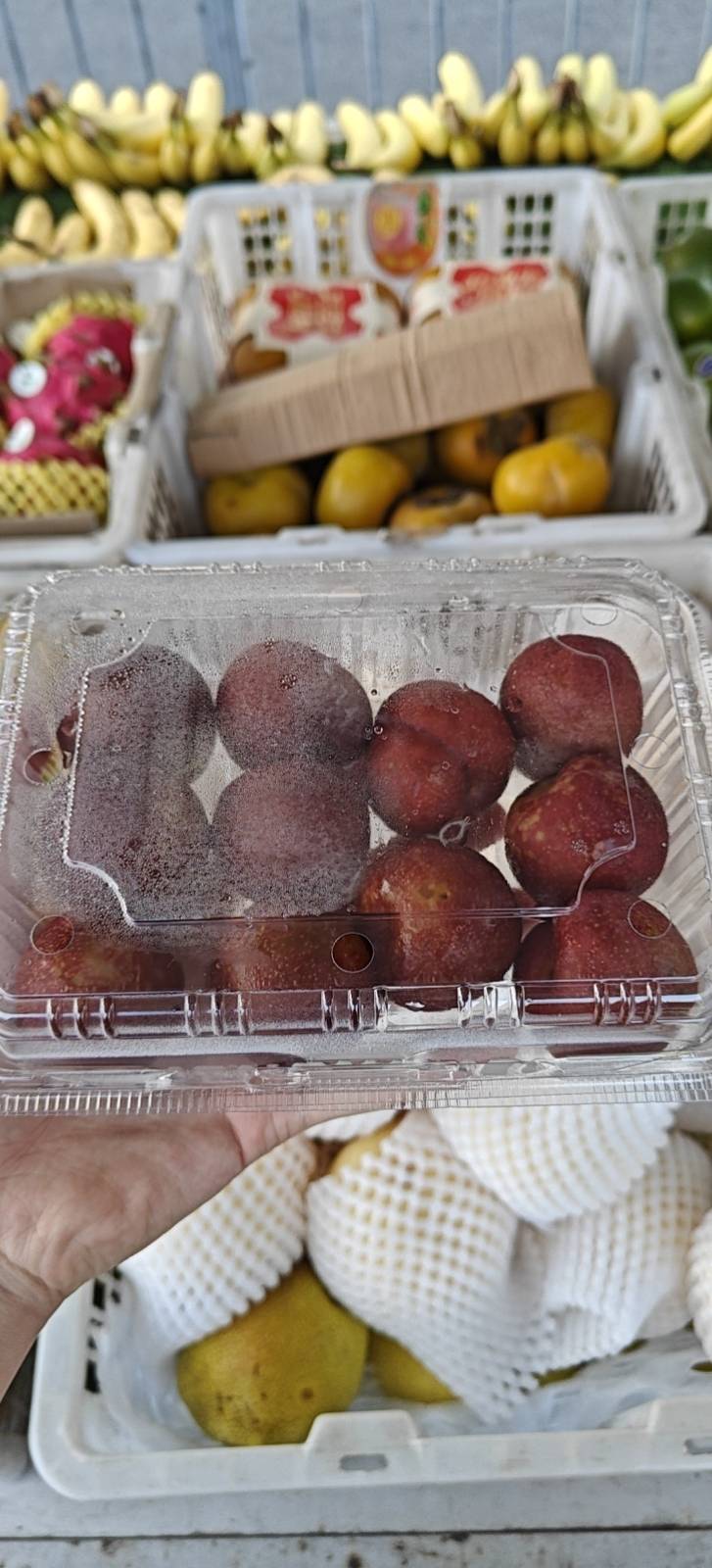 一个红脆李
